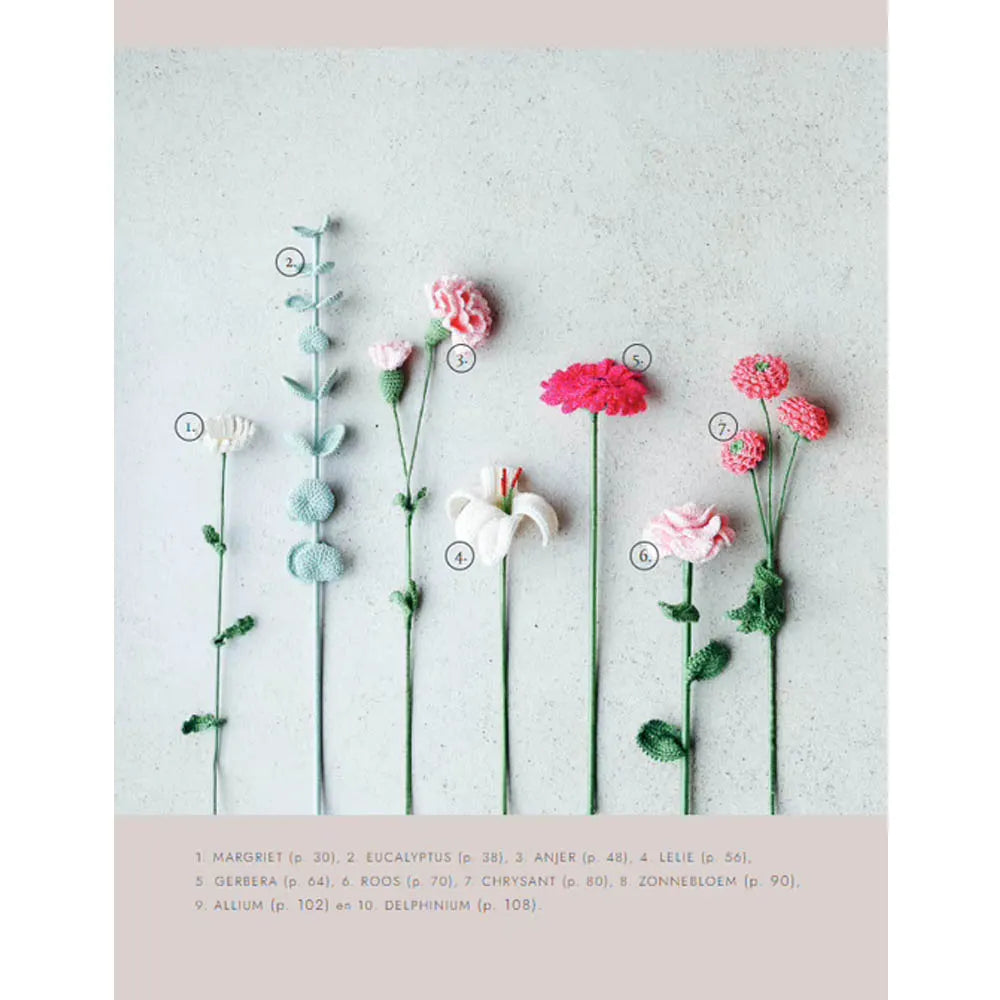 Boek bloemen haken