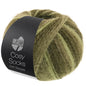 Lana Grossa - Cosy Socks Soft Stripes 100 gr diverse kleuren