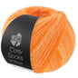 Lana Grossa - Cosy Socks Soft Stripes 100 gr diverse kleuren