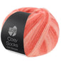 Lana Grossa - Cosy Socks Soft Stripes 100 gr diverse kleuren
