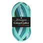 Scheepjes Colour Crafter Parade